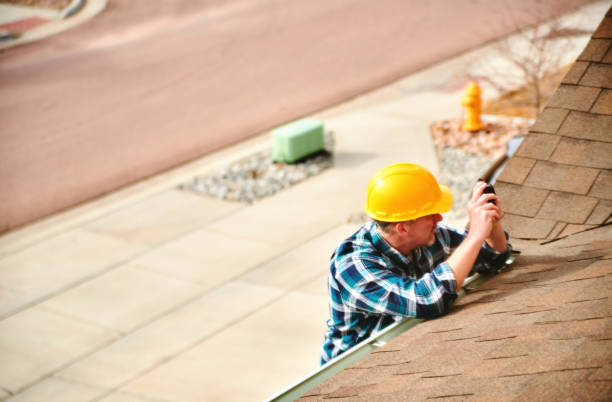 Best Roof Gutter Cleaning  in Orida Ridge, FL